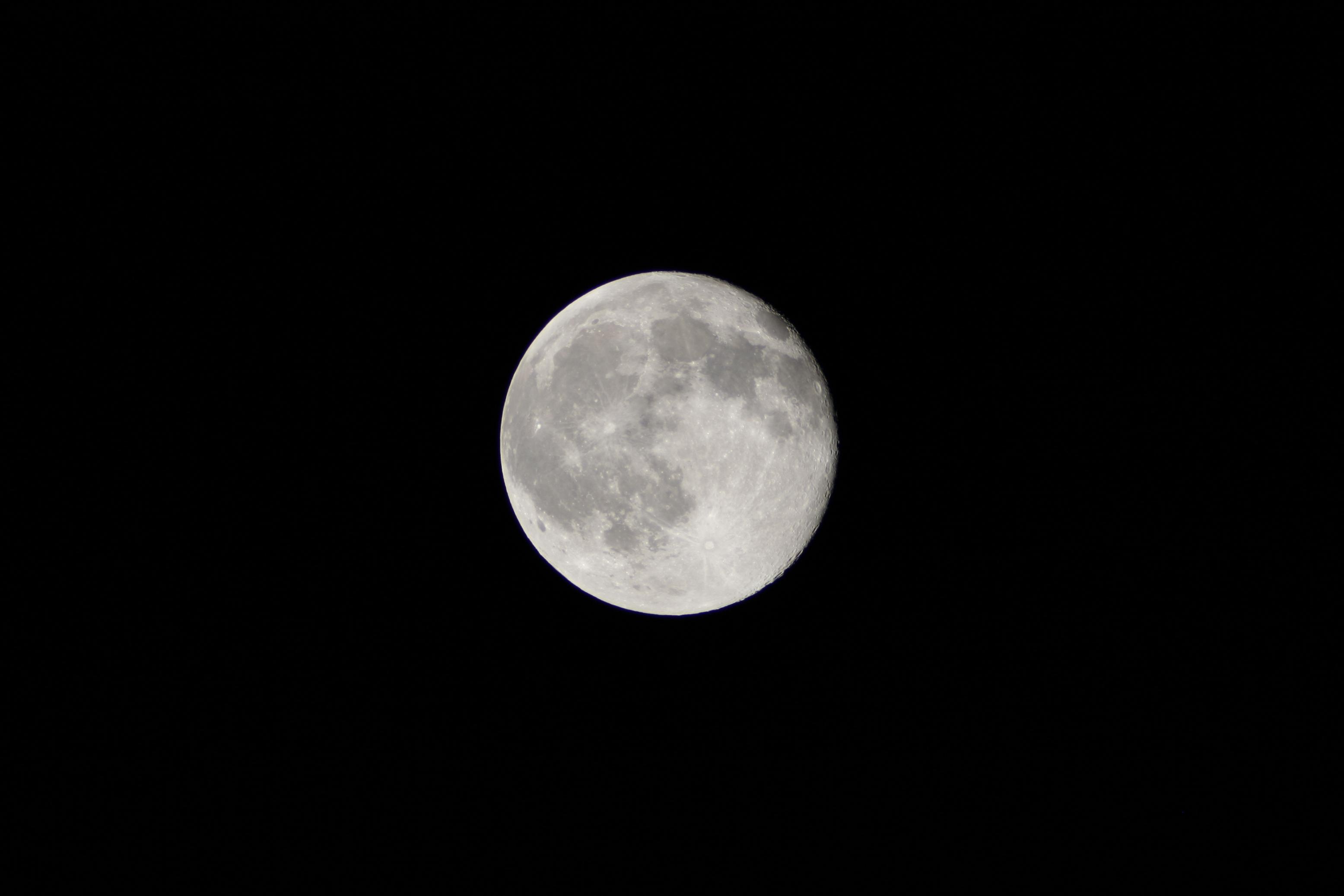 IMG_2098_small.JPG
