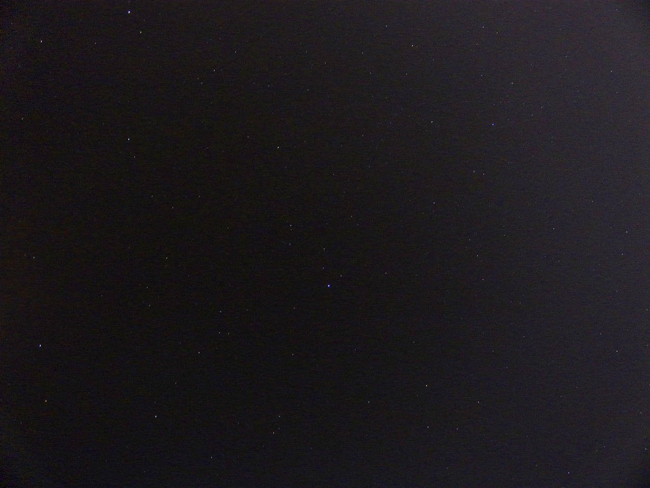 P1000928.jpg
