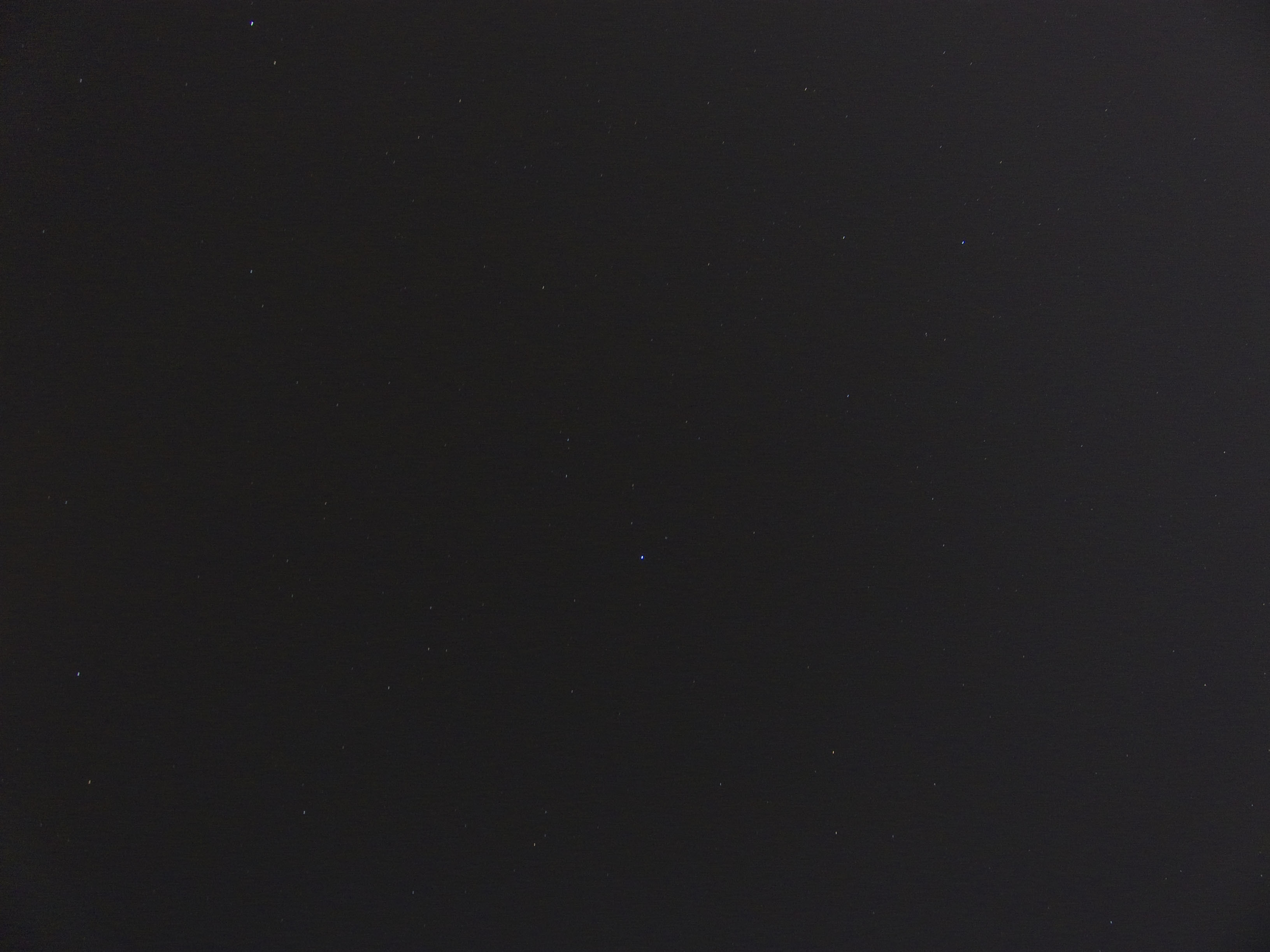 P1000928.jpg