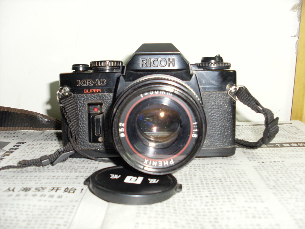 SL381851.JPG