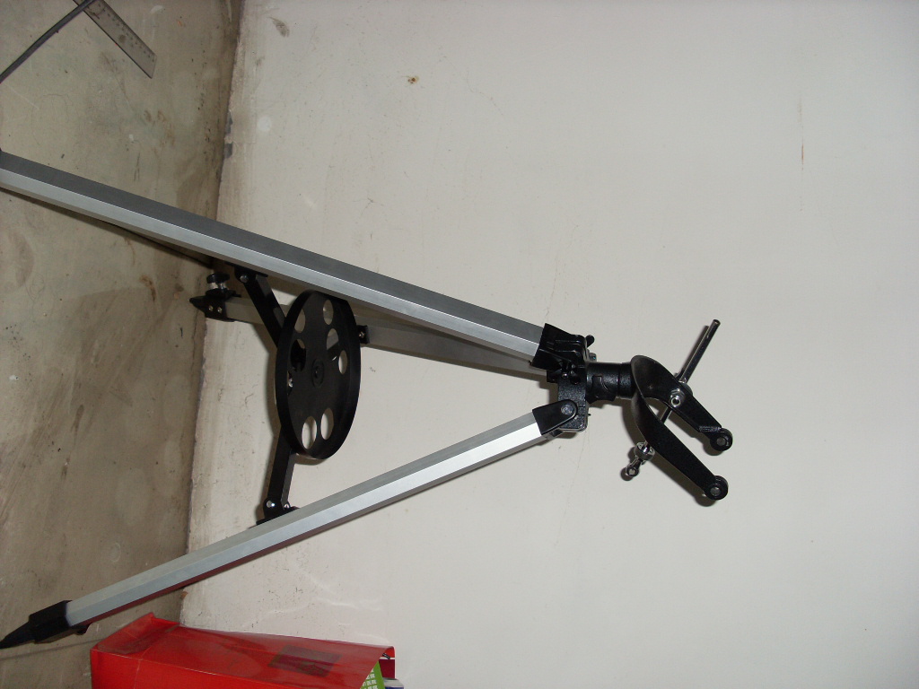 SL381859.JPG