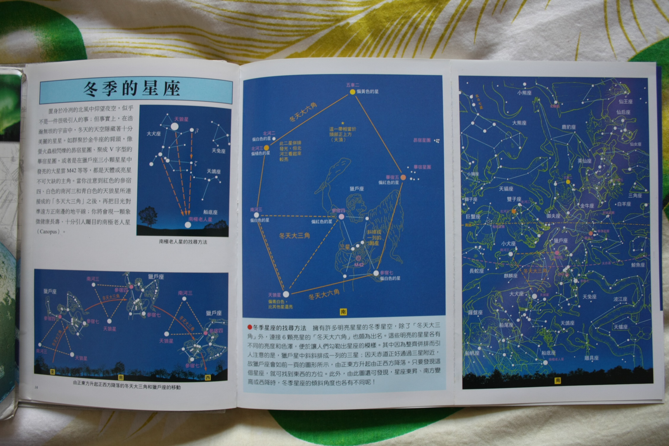 星座图鉴部分内页.jpg