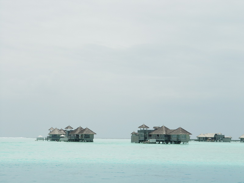 MD 20080923 142138_缩小大小.JPG
