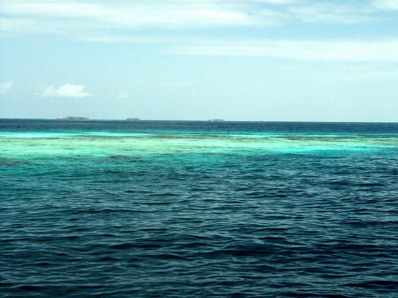 MD 20080923 132752_缩小大小.JPG