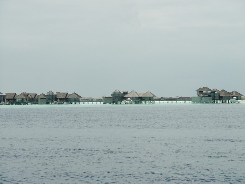 MD 20080923 141748_缩小大小.JPG