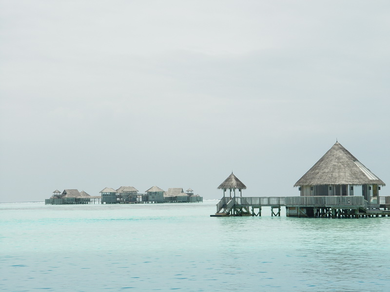 MD 20080923 142226_缩小大小.JPG