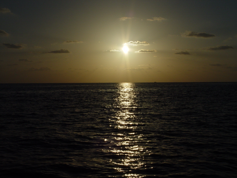 MD 20080922 205710_缩小大小.JPG