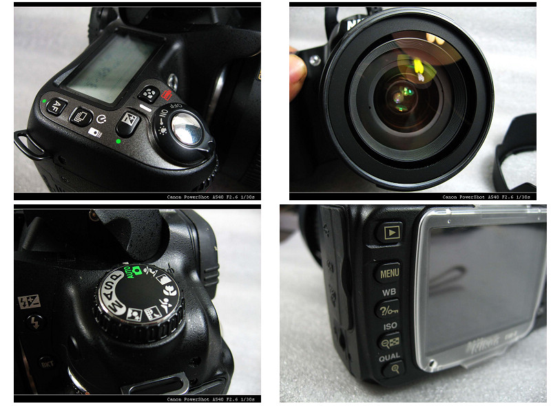 D80 1.jpg