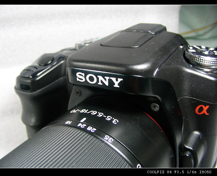 DSCN4955.JPG