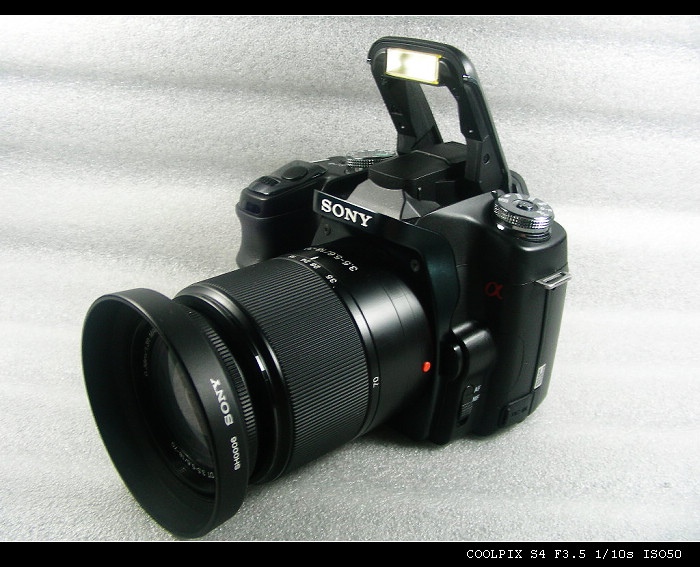 DSCN4949.JPG