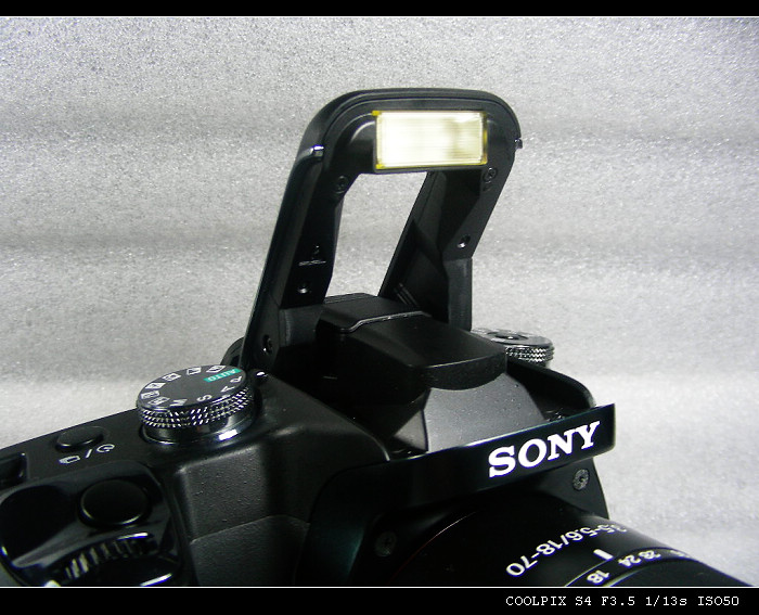 DSCN4957.JPG
