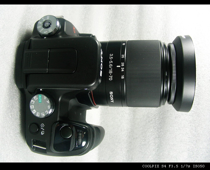 DSCN4951.JPG
