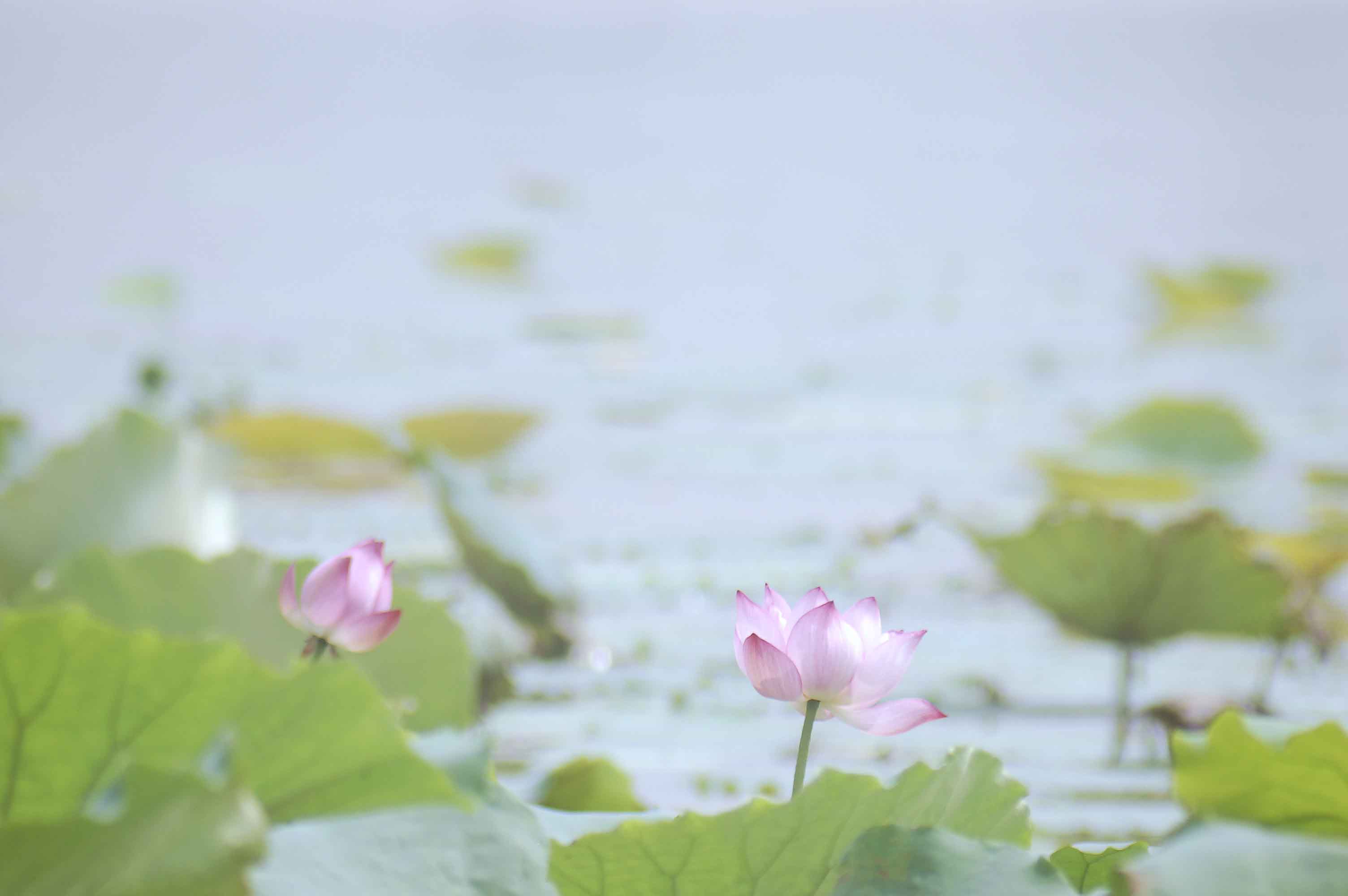 DSC_4158副本.jpg