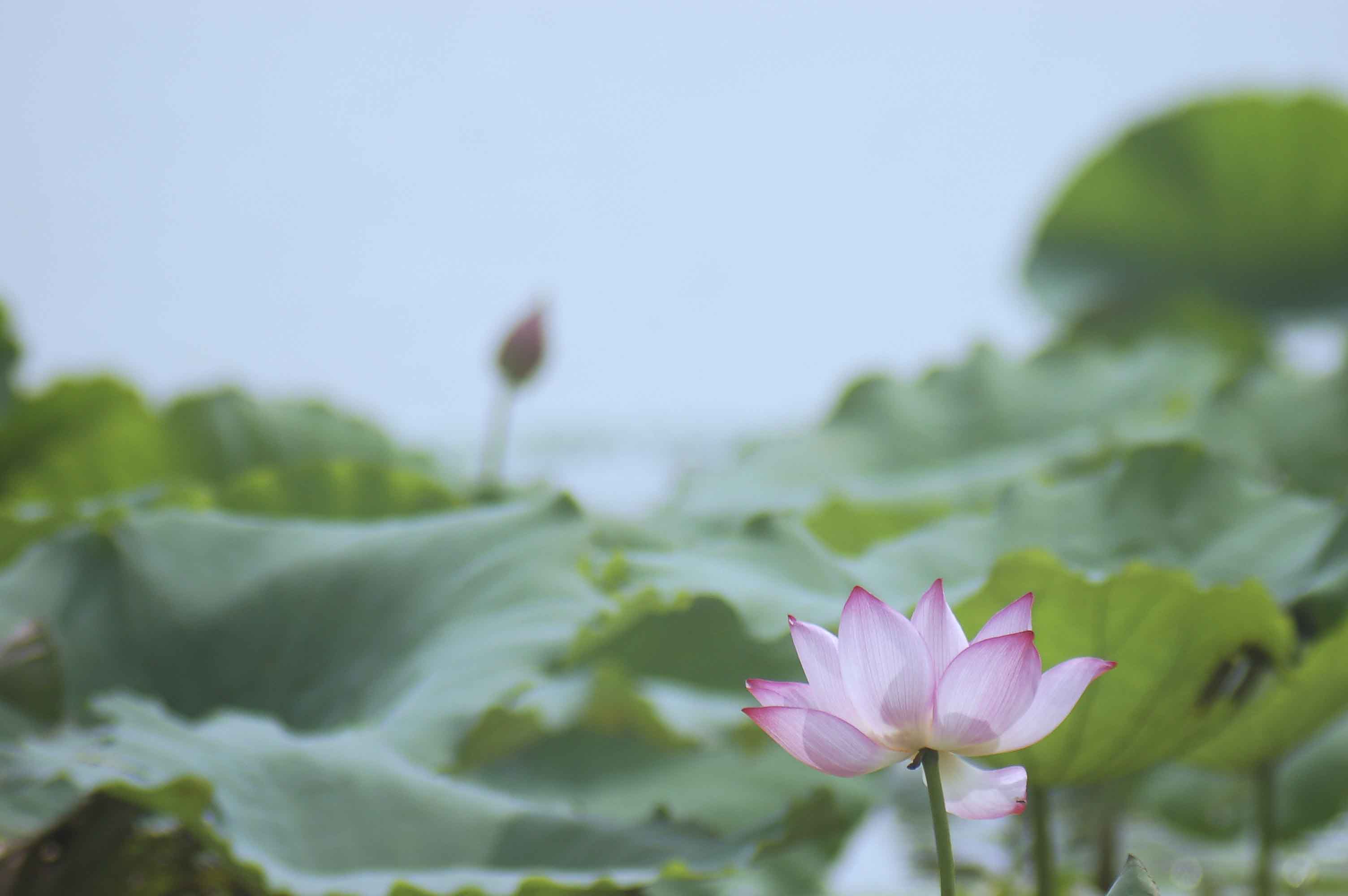 DSC_4146副本.jpg