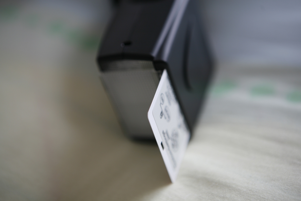 _MG_1288.JPG