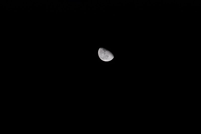DSC_7909.JPG