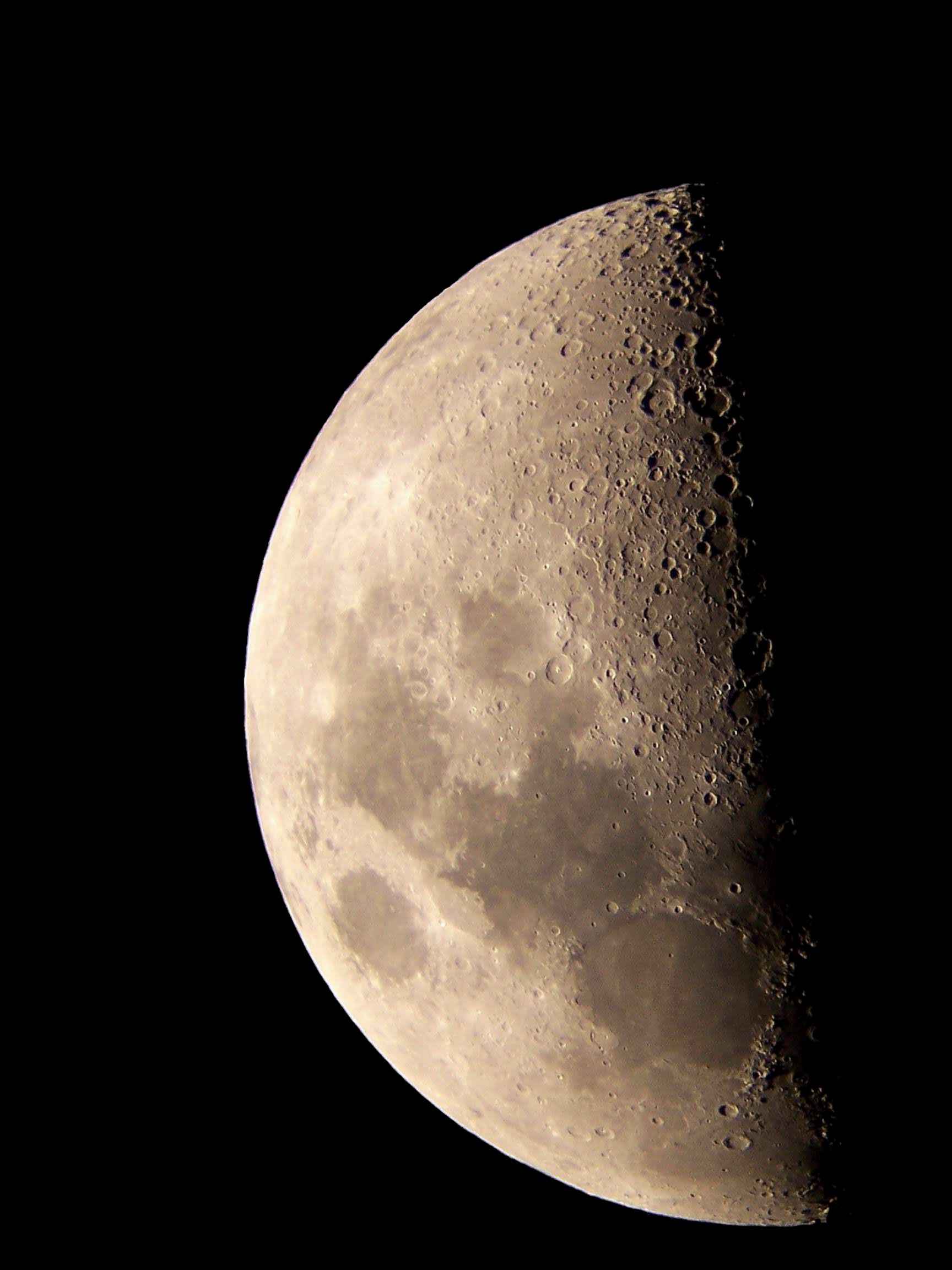 100_4630.JPG