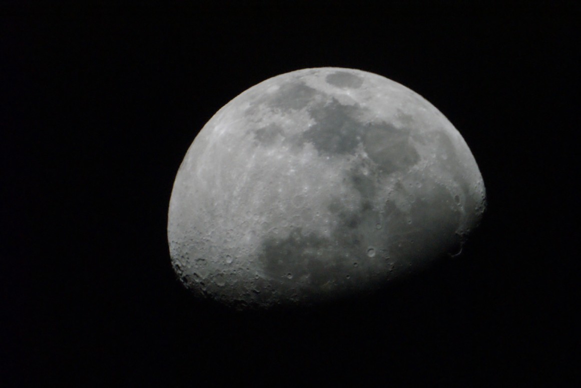 DSC01110-s.jpg