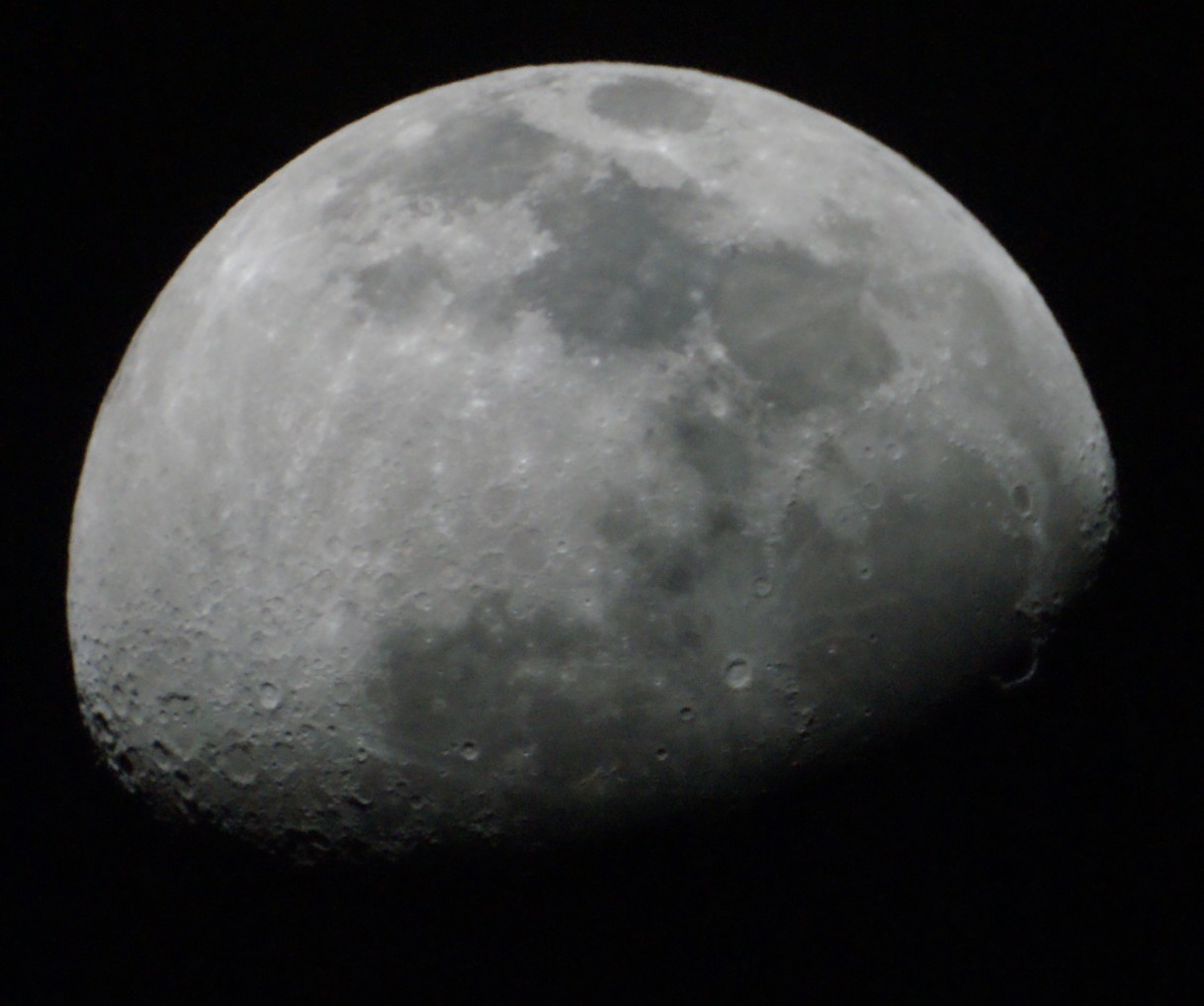 DSC01110-s1.jpg