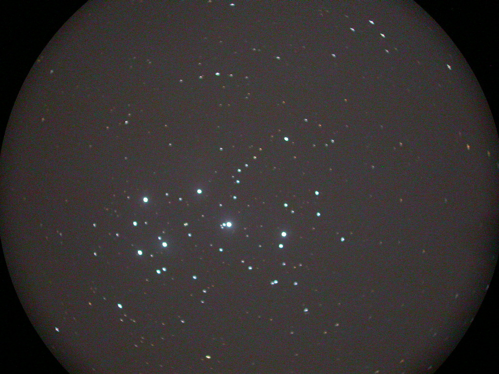 DSCN9993.JPG