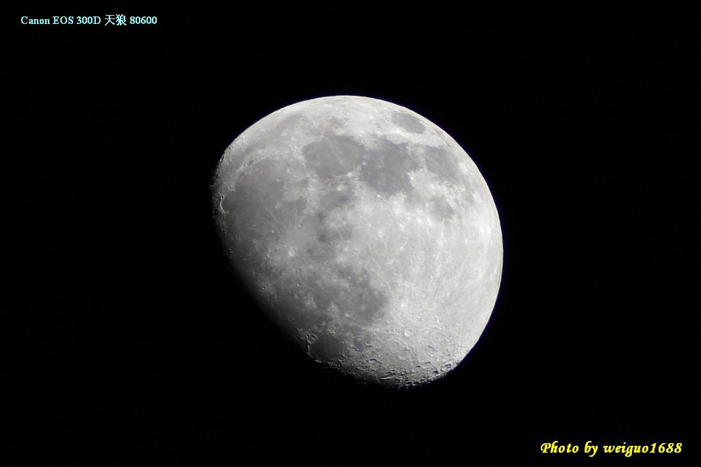 moon081109.jpg