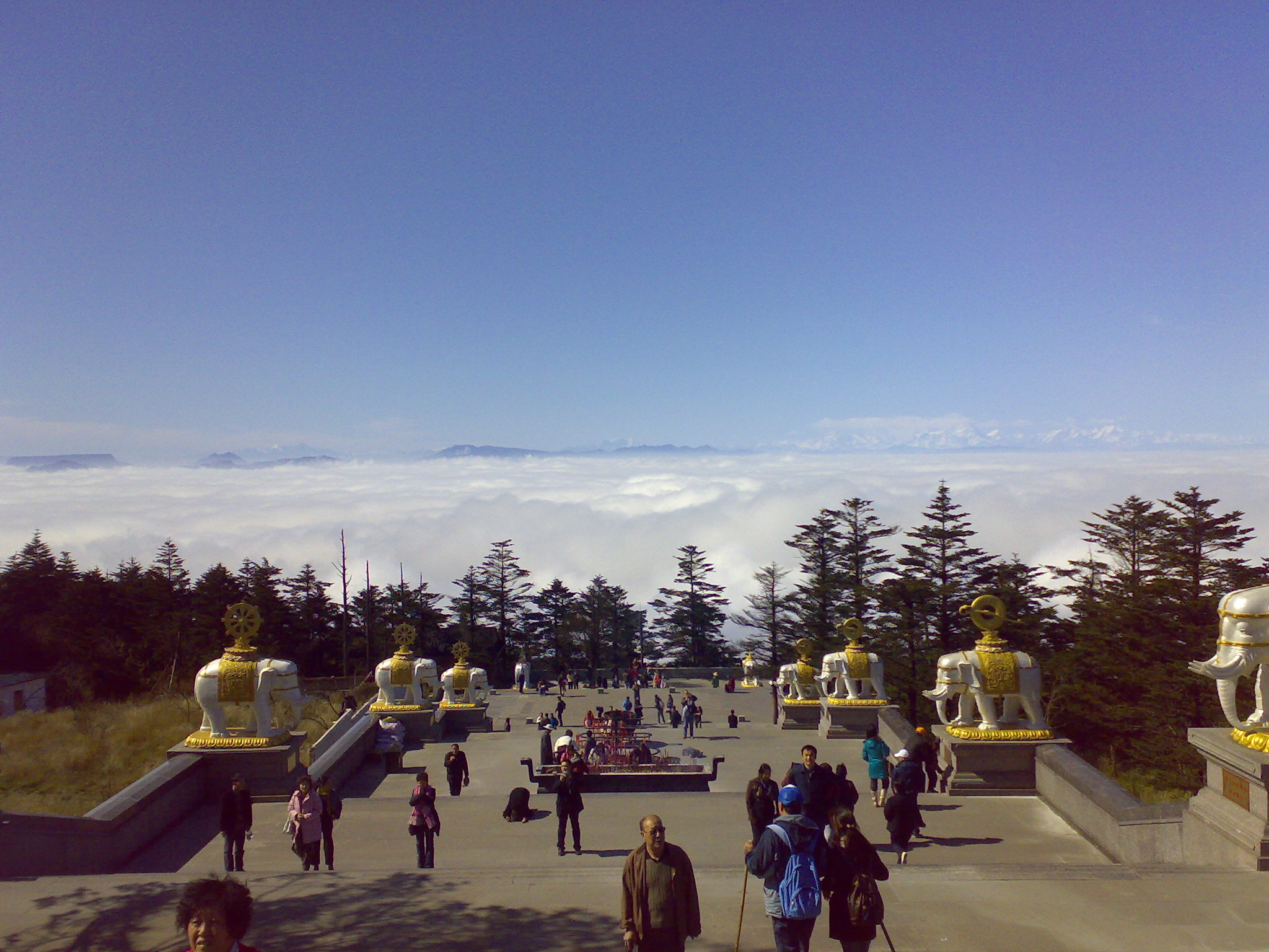20081108243.jpg