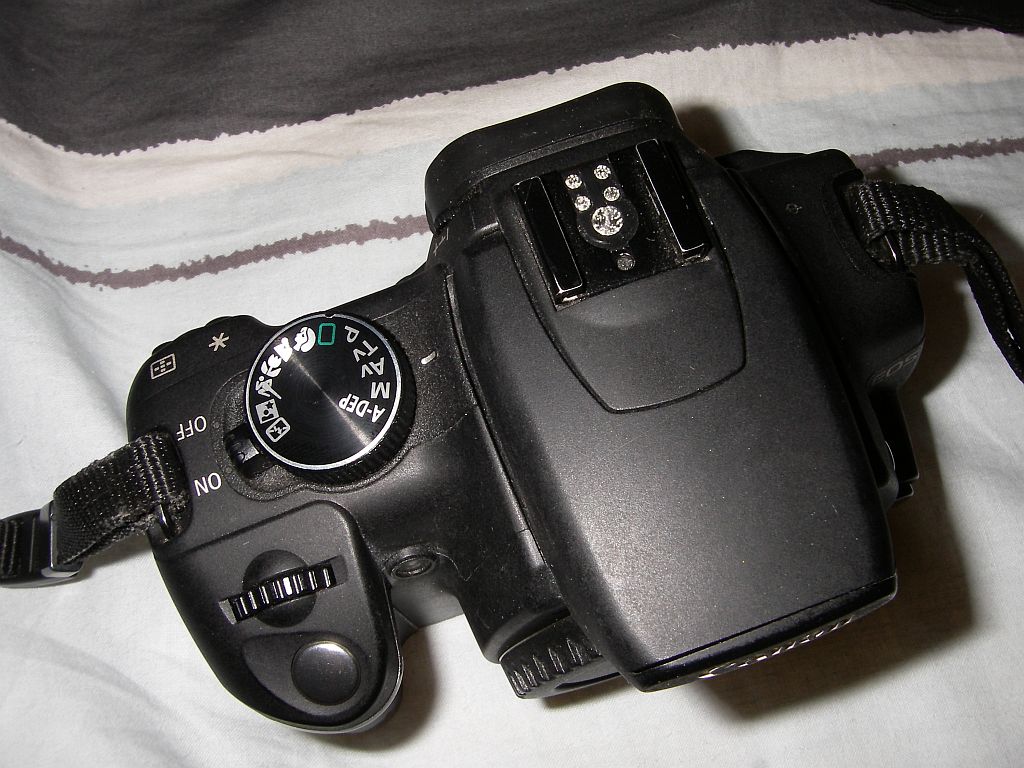 IMGP1449.JPG