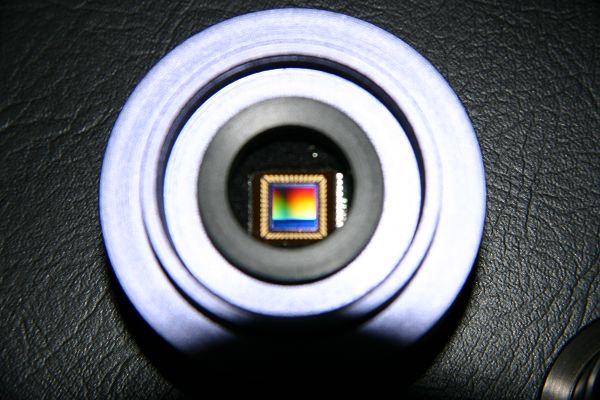 nEO_IMG_IMG_2499.jpg