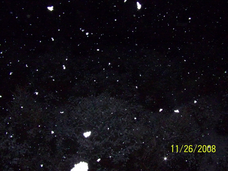 100_1620.jpg