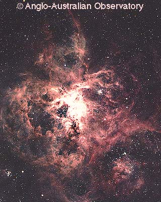 n2070aat.jpg