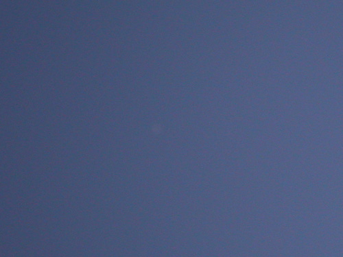 DSCN4420-.jpg