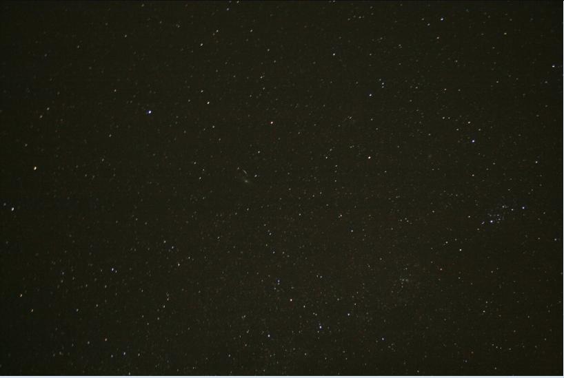 M31