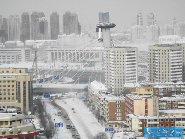 DSC00431.JPG
