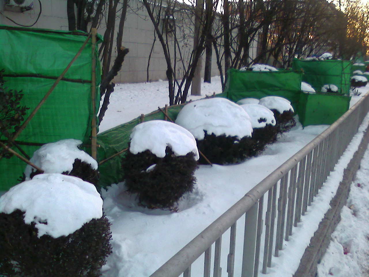 20081222074721.jpg
