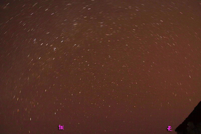 动04.gif