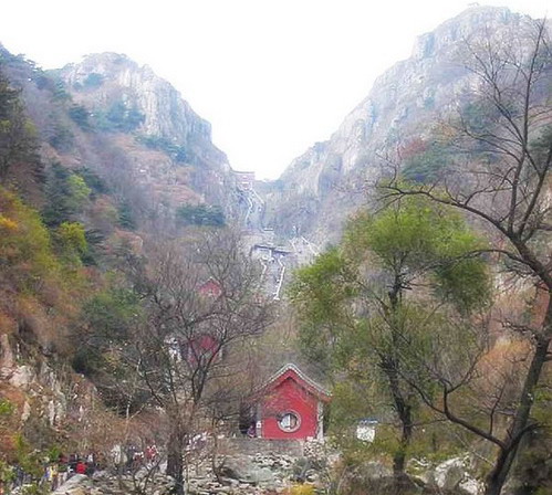 tai.jpg