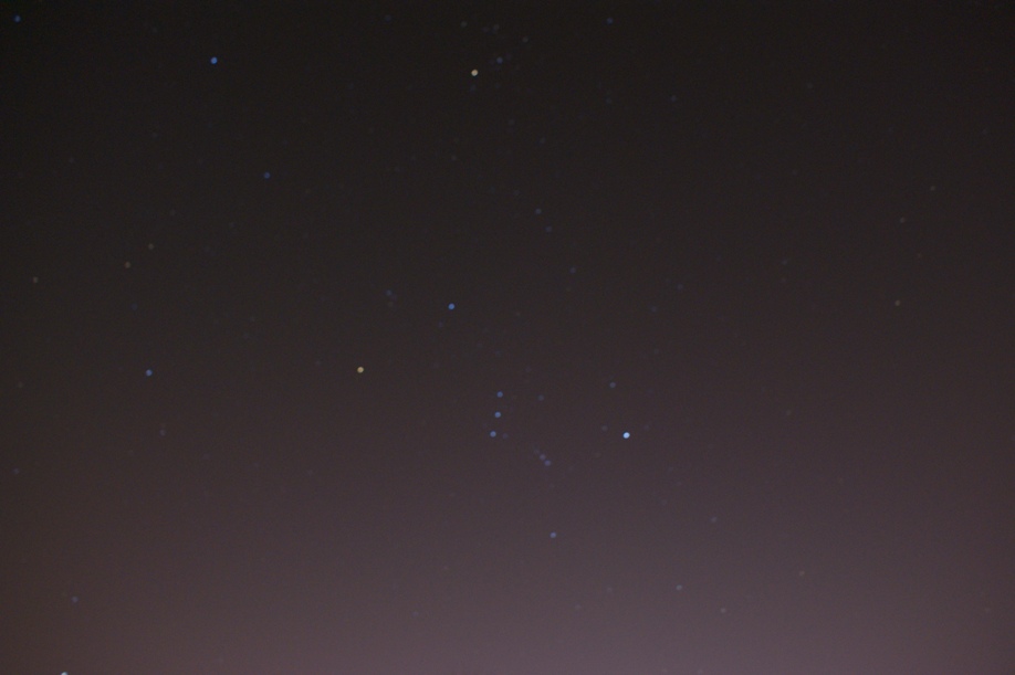 DSC02639.JPG