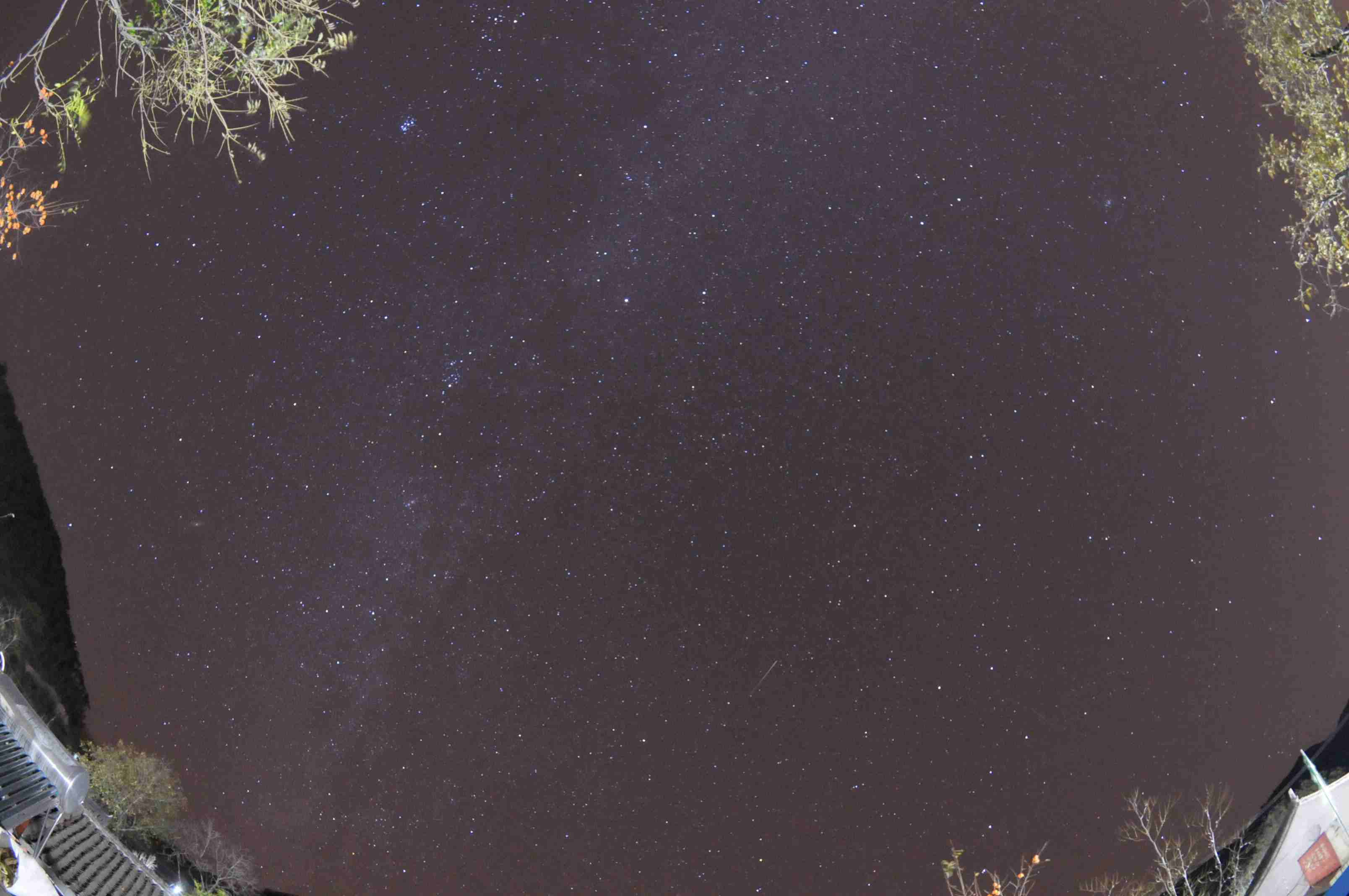 DSC_4029.jpg