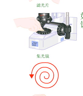 这种擦拭方法是错误的，应该一个方向扫过