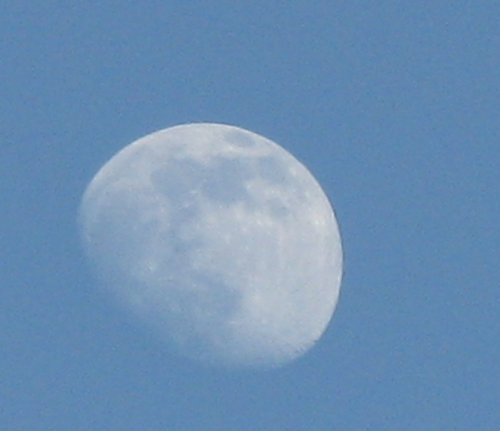 IMG_6733-1.jpg