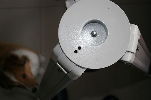 IMG_0038888.jpg