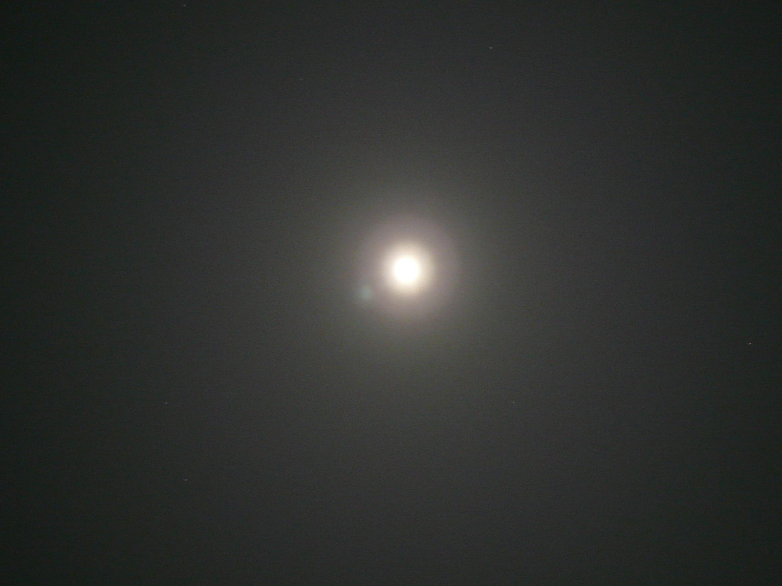P1030820.jpg