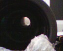 IMG0133A.jpg