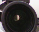IMG0132A.jpg