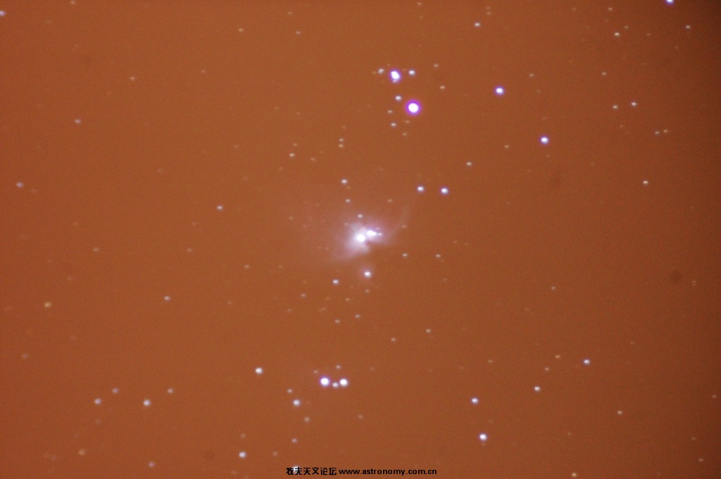 DSC_2972.jpg