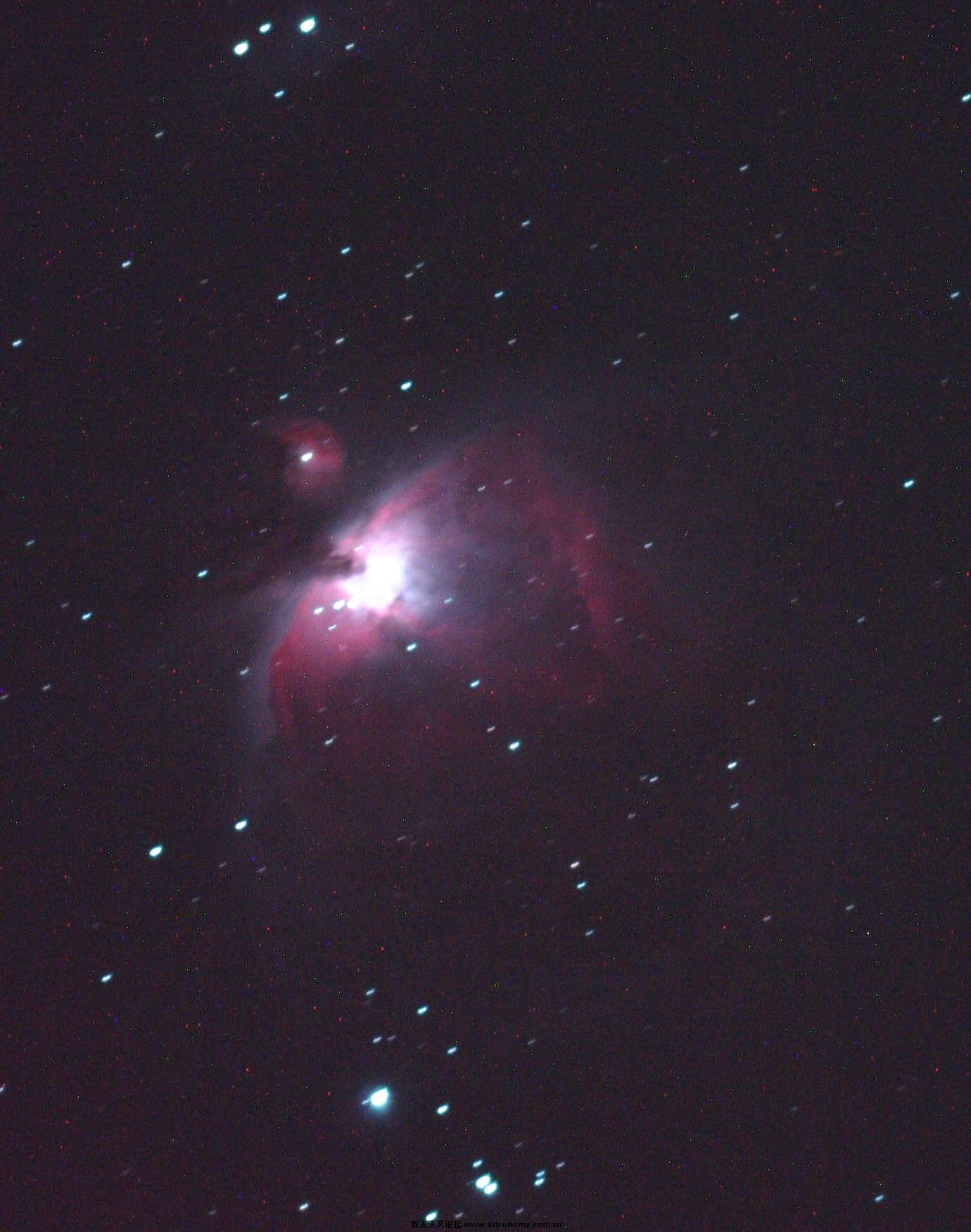 CRW_4512.jpg