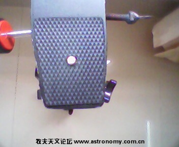 IMG0142A.jpg