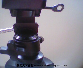 IMG0141A.jpg