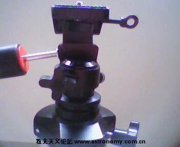 IMG0138A.jpg
