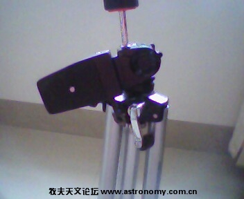 IMG0154A.jpg